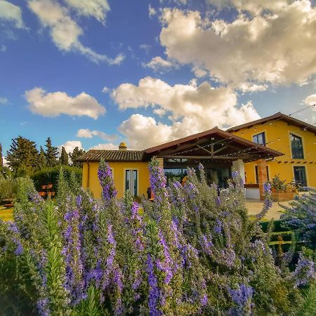 Country House Erba Regina Frascati Exterior foto