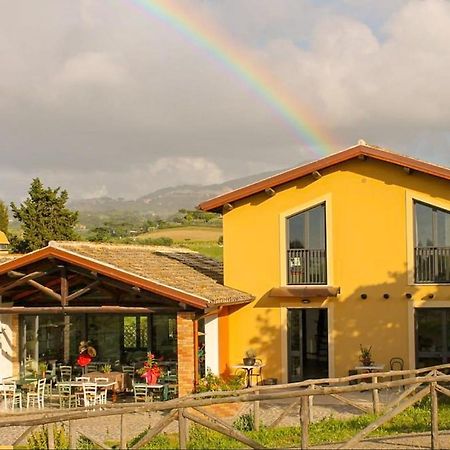 Country House Erba Regina Frascati Exterior foto