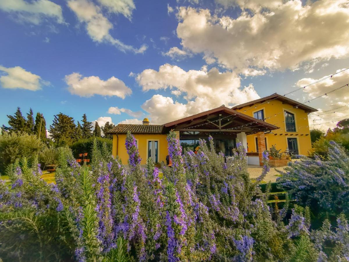 Country House Erba Regina Frascati Exterior foto