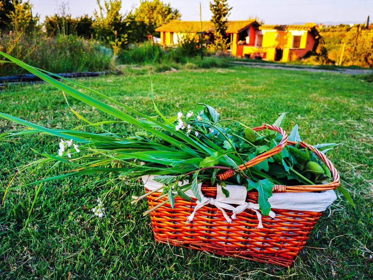 Country House Erba Regina Frascati Exterior foto