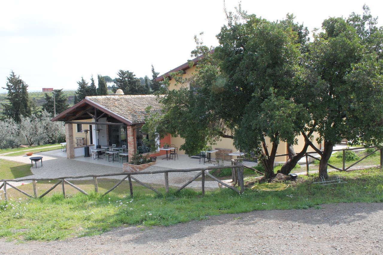 Country House Erba Regina Frascati Exterior foto